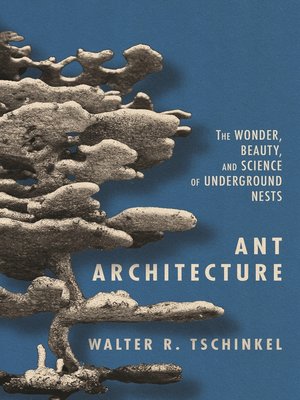 cover image of Ant Architecture